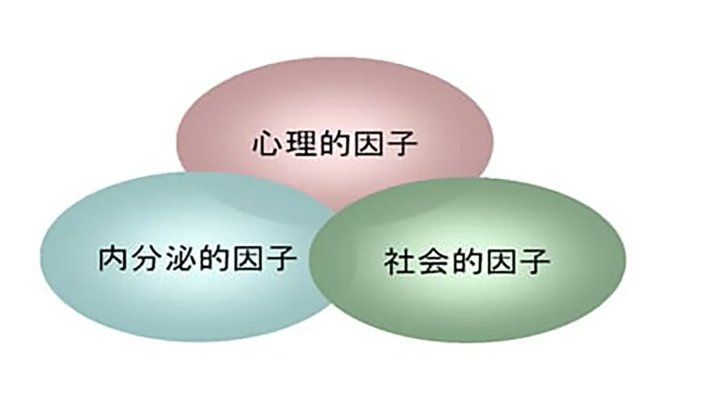 更年期障害の成因図