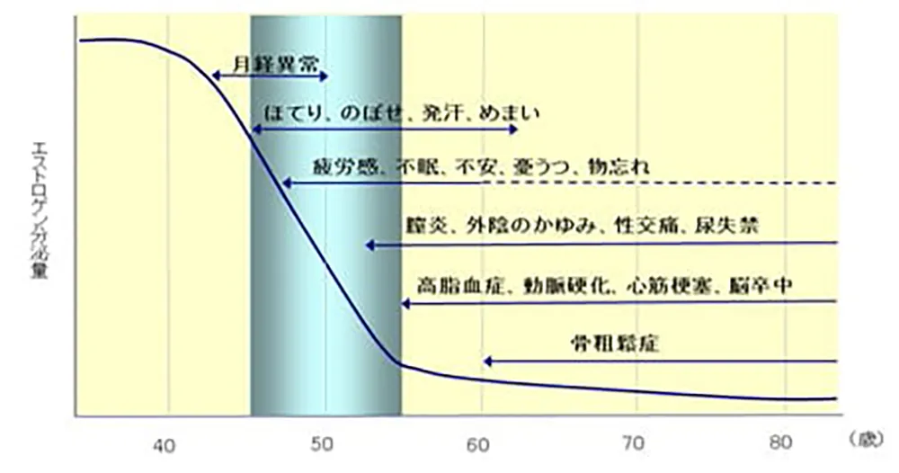 エストロゲン分泌量グラフと更年期障害の様々な症状