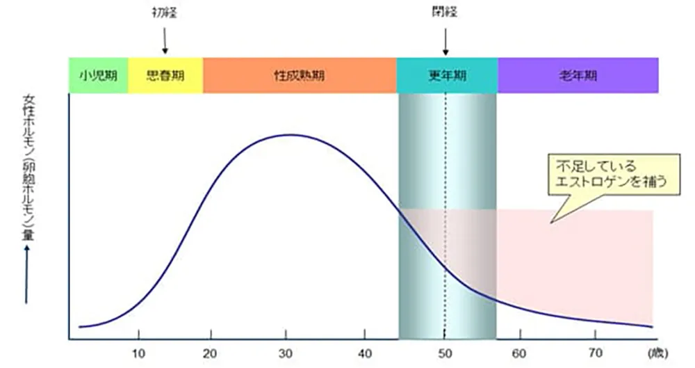 女性ホルモン量の図