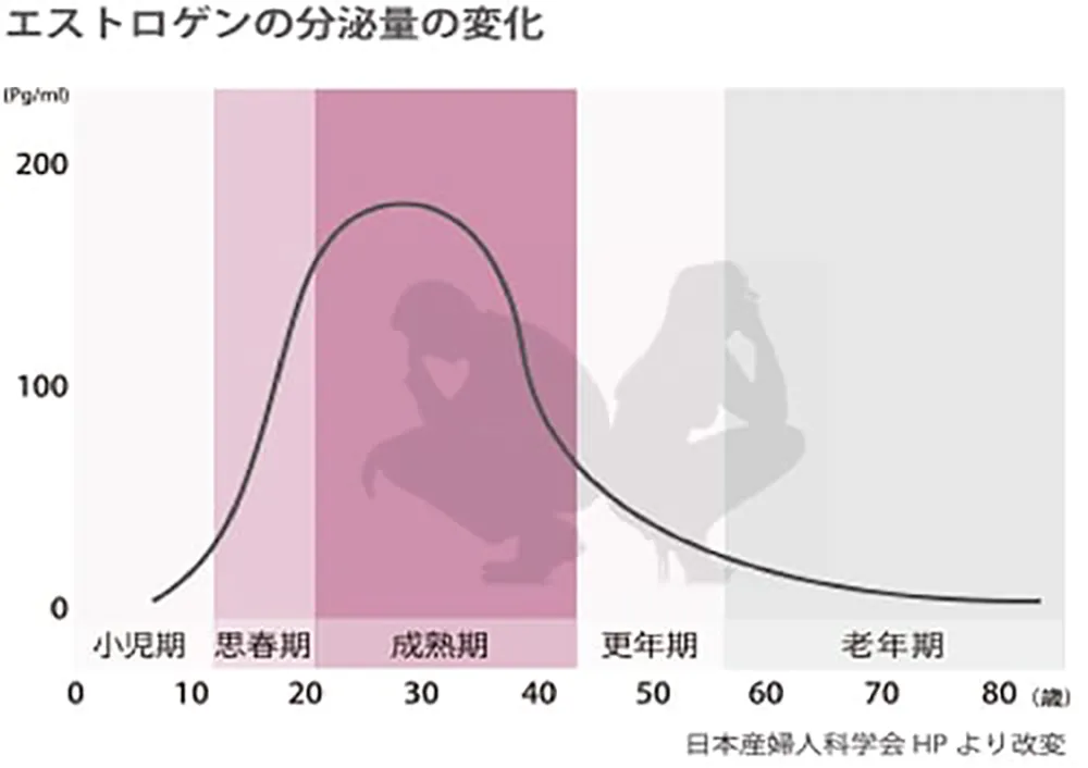 エストロゲンの分泌量の変化図