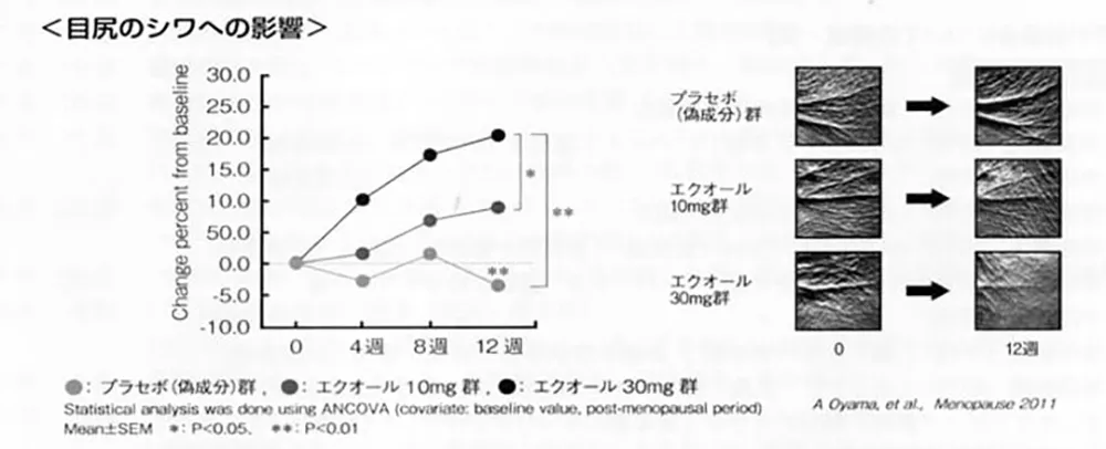 目尻のシワへの影響