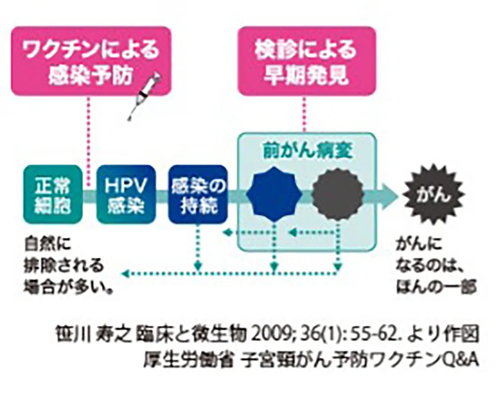 笹川寿之　臨床と微生物（2009）より作図　厚生労働省　子宮頸がんワクチン予防Q&A