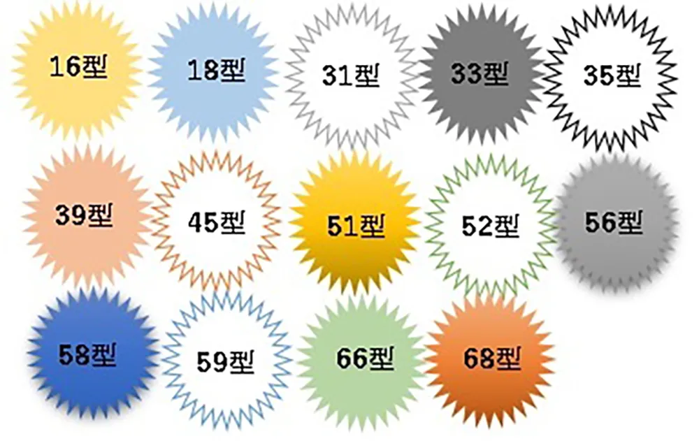 HPVの種類図